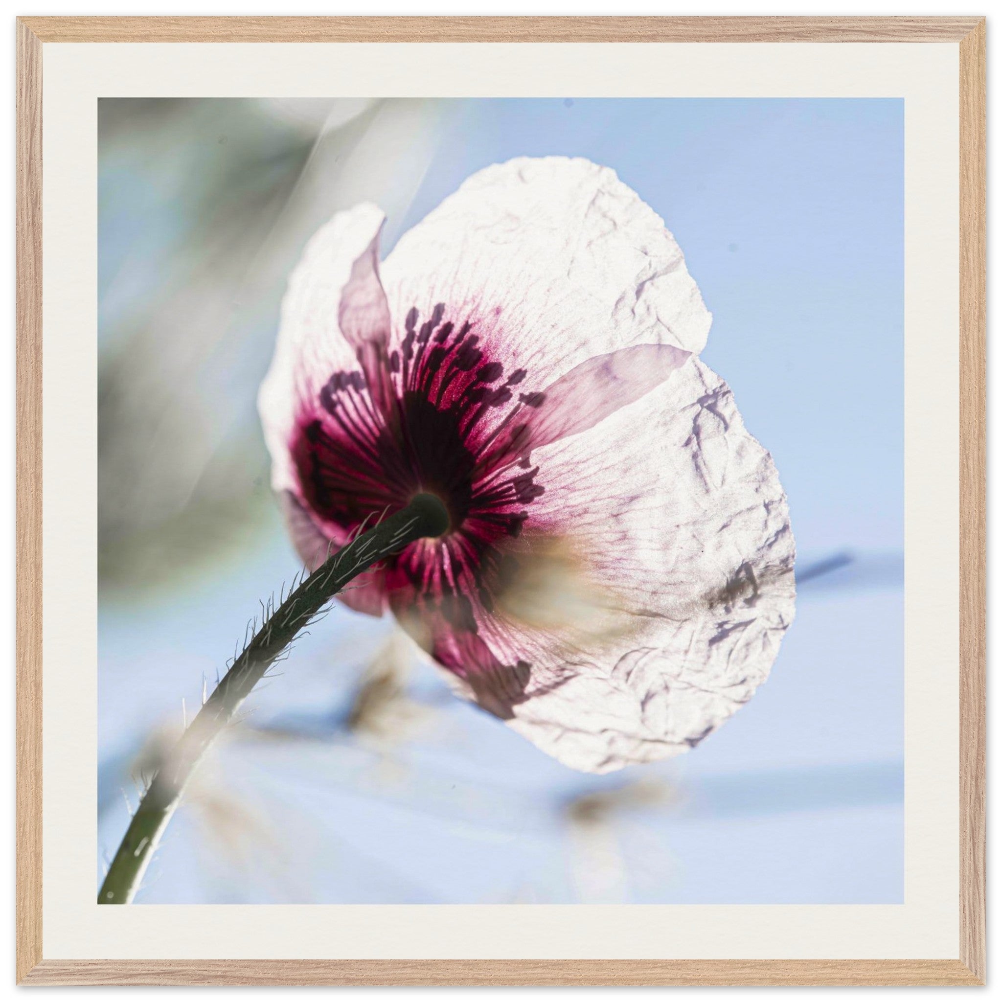 0d9dda79-ca5d-4636-a08b-d11d65147136