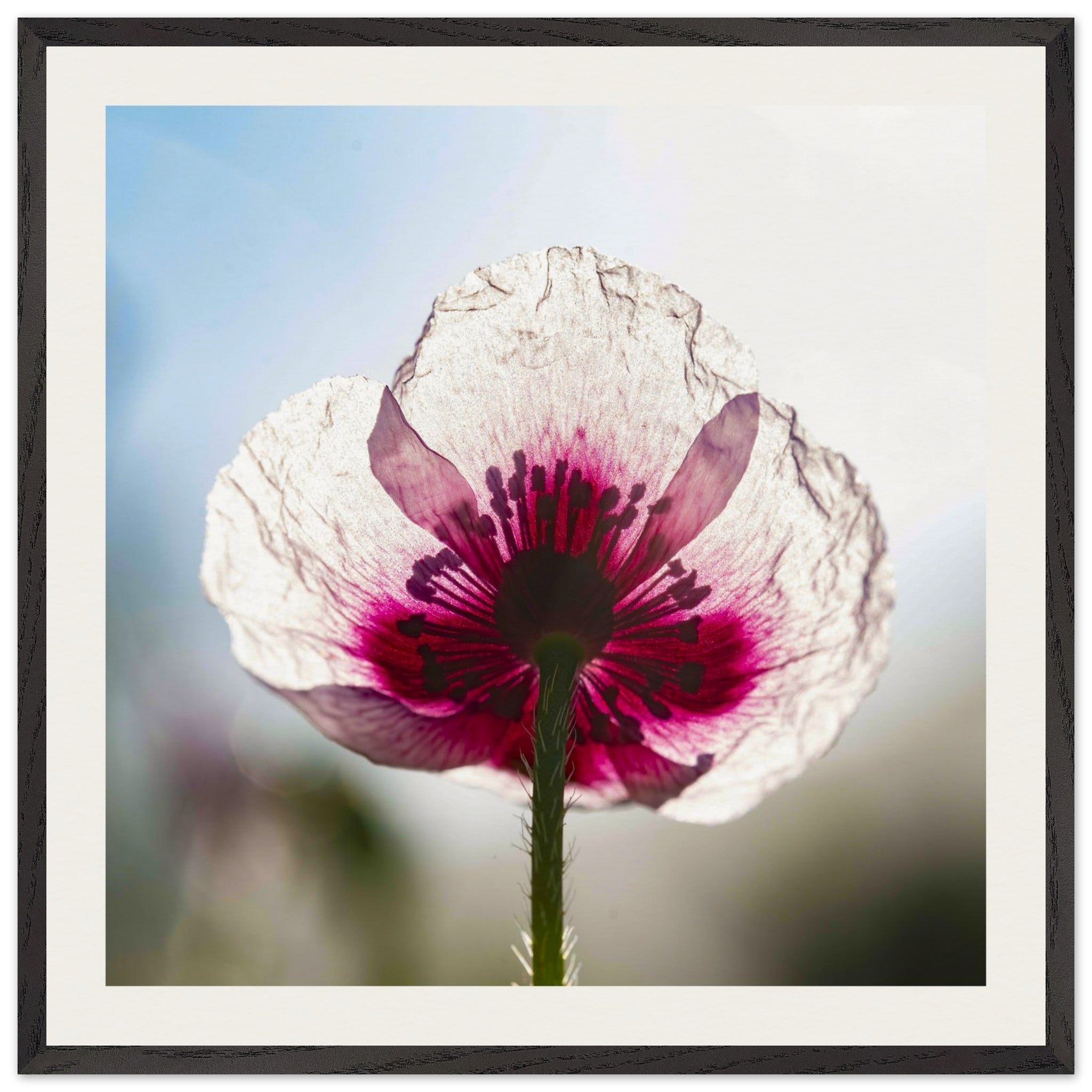 0e463890-a37d-4ed2-9fbd-08f10c74a2d0