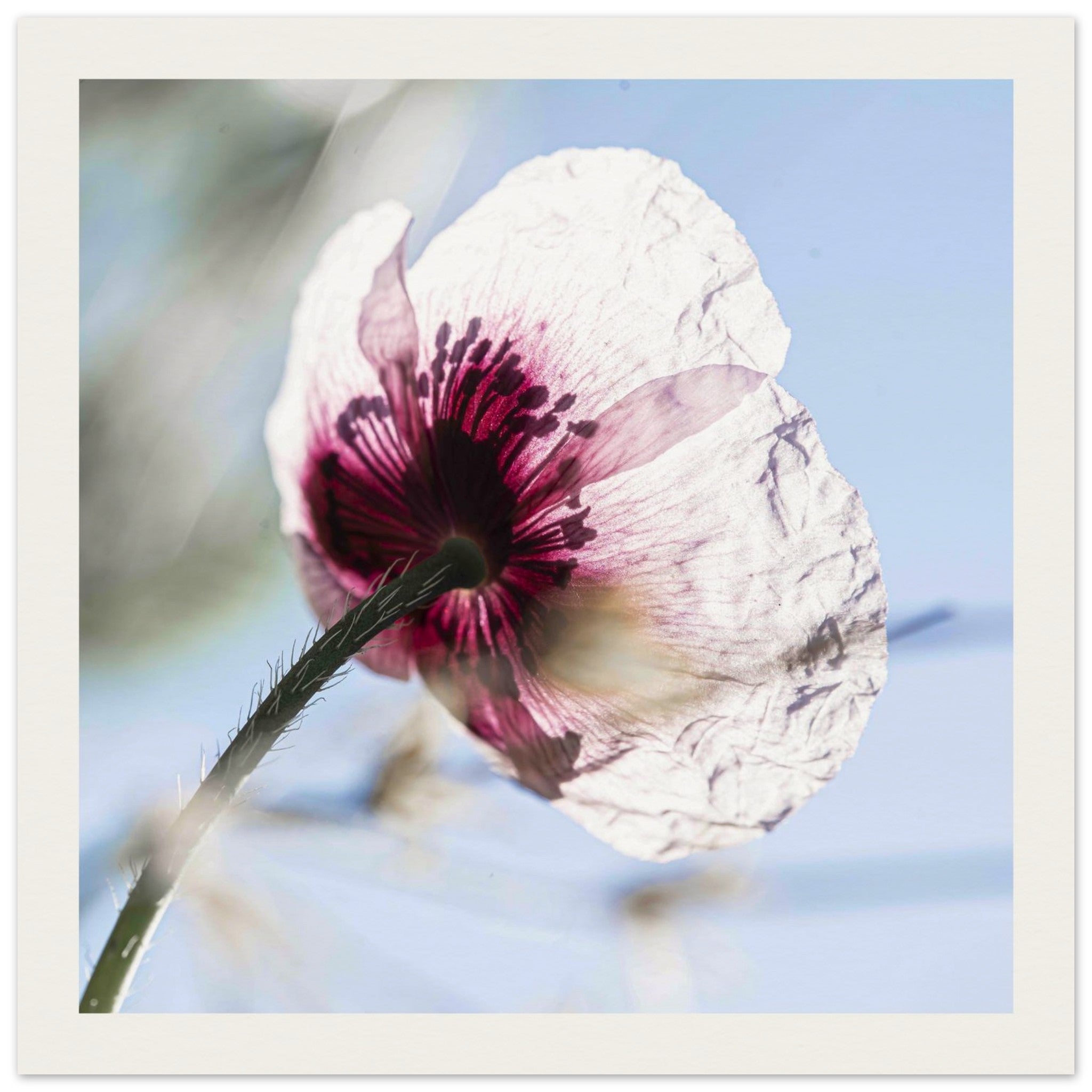 15eba82a-1275-47bb-9c46-7e89bdf265e9