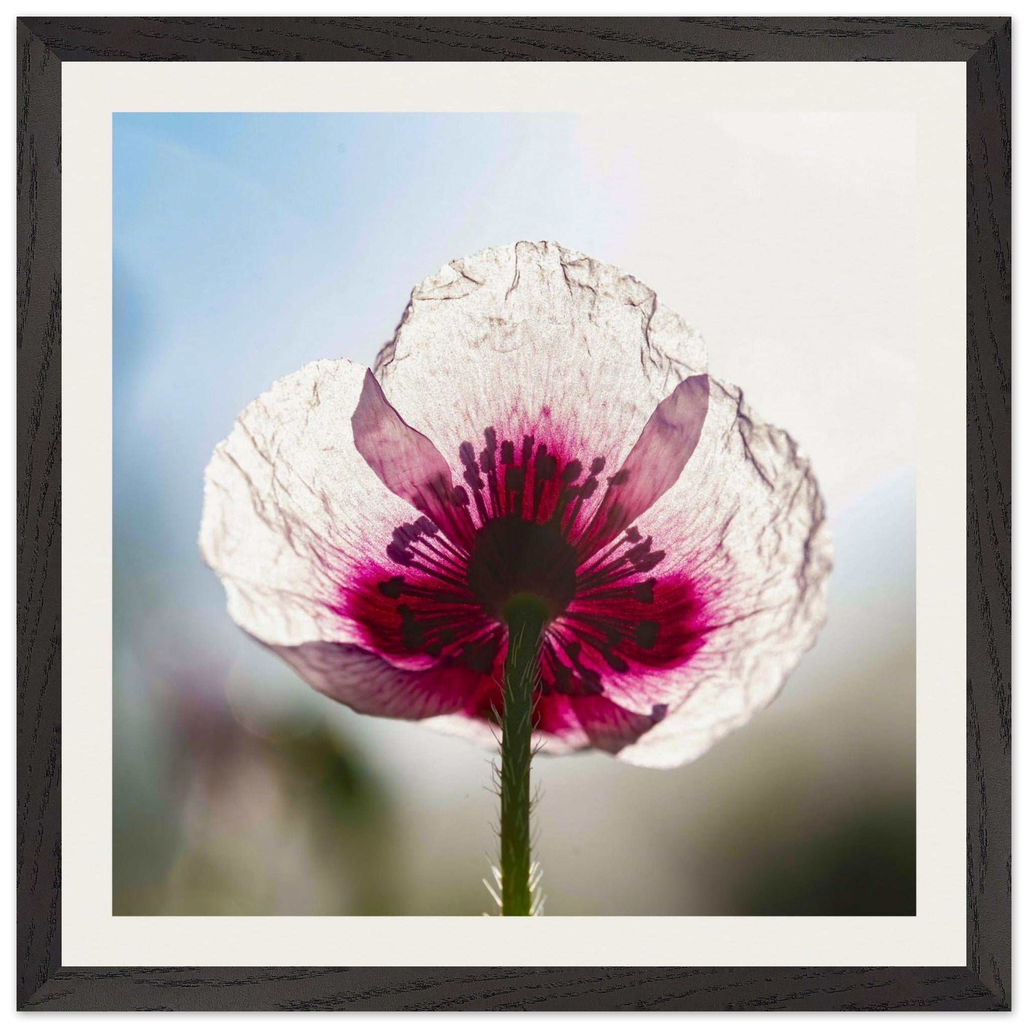 3728ebb5-2293-4637-a6a1-f53dd74030b4