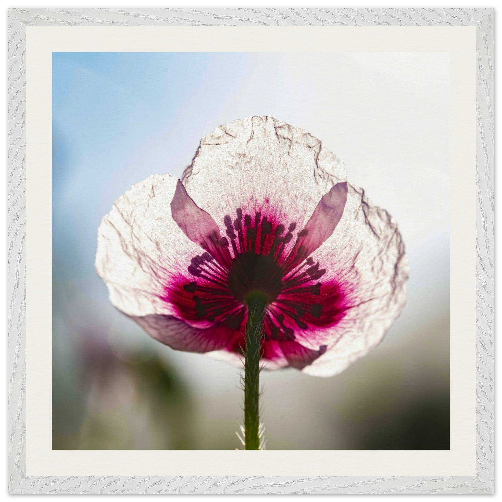 5a55dcba-6e5e-45b8-8c65-0681090a88ce