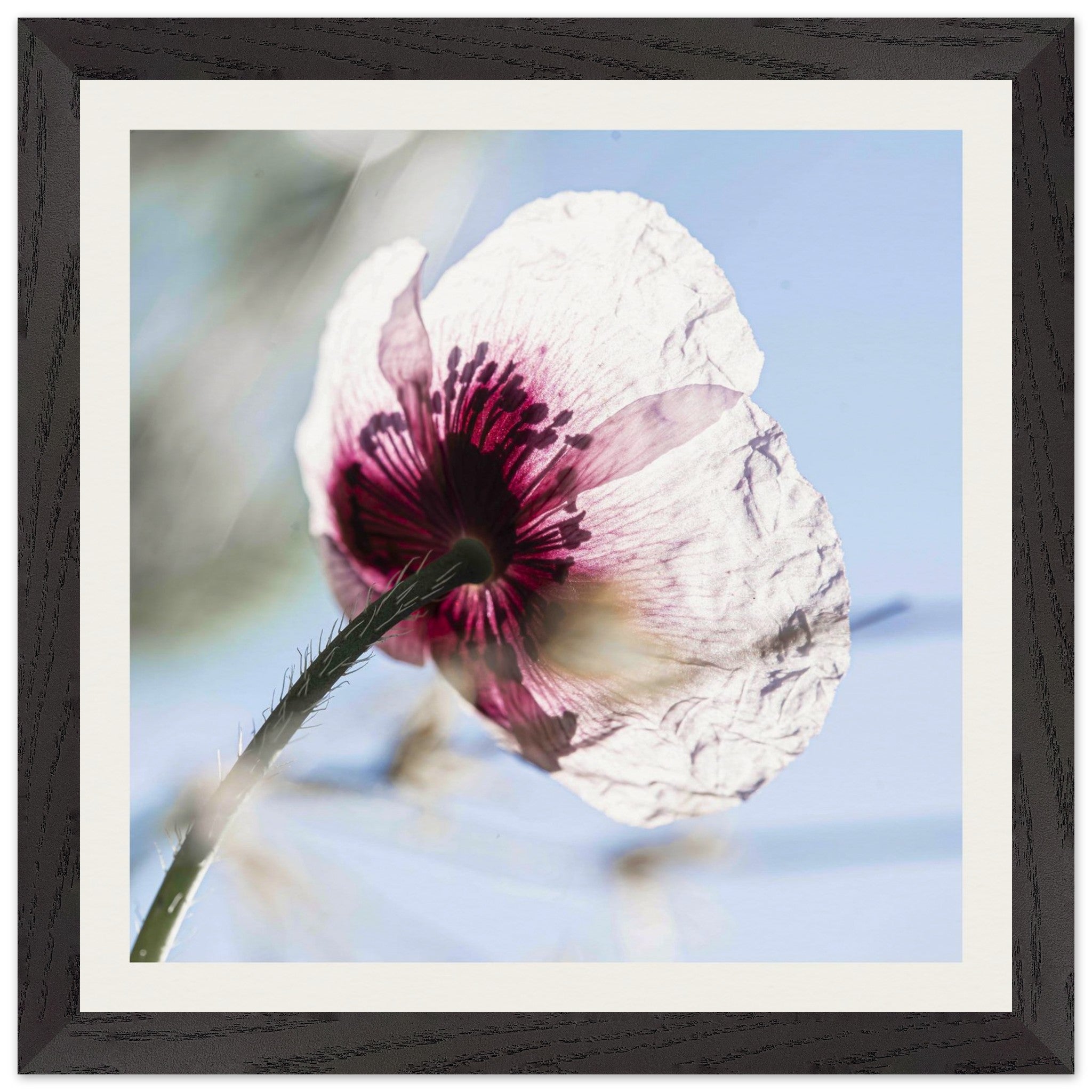 700d468d-9aef-4915-b7f1-9b3df38e9c30