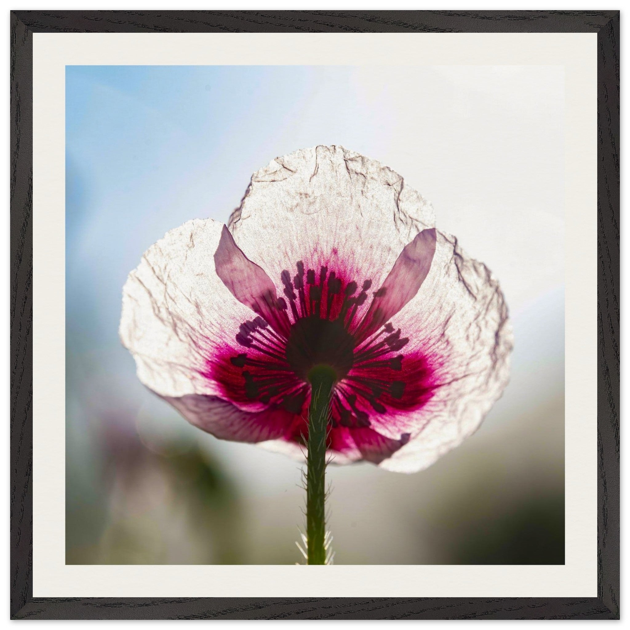 704e14f1-1f3b-45e7-a658-80ed82b5f502