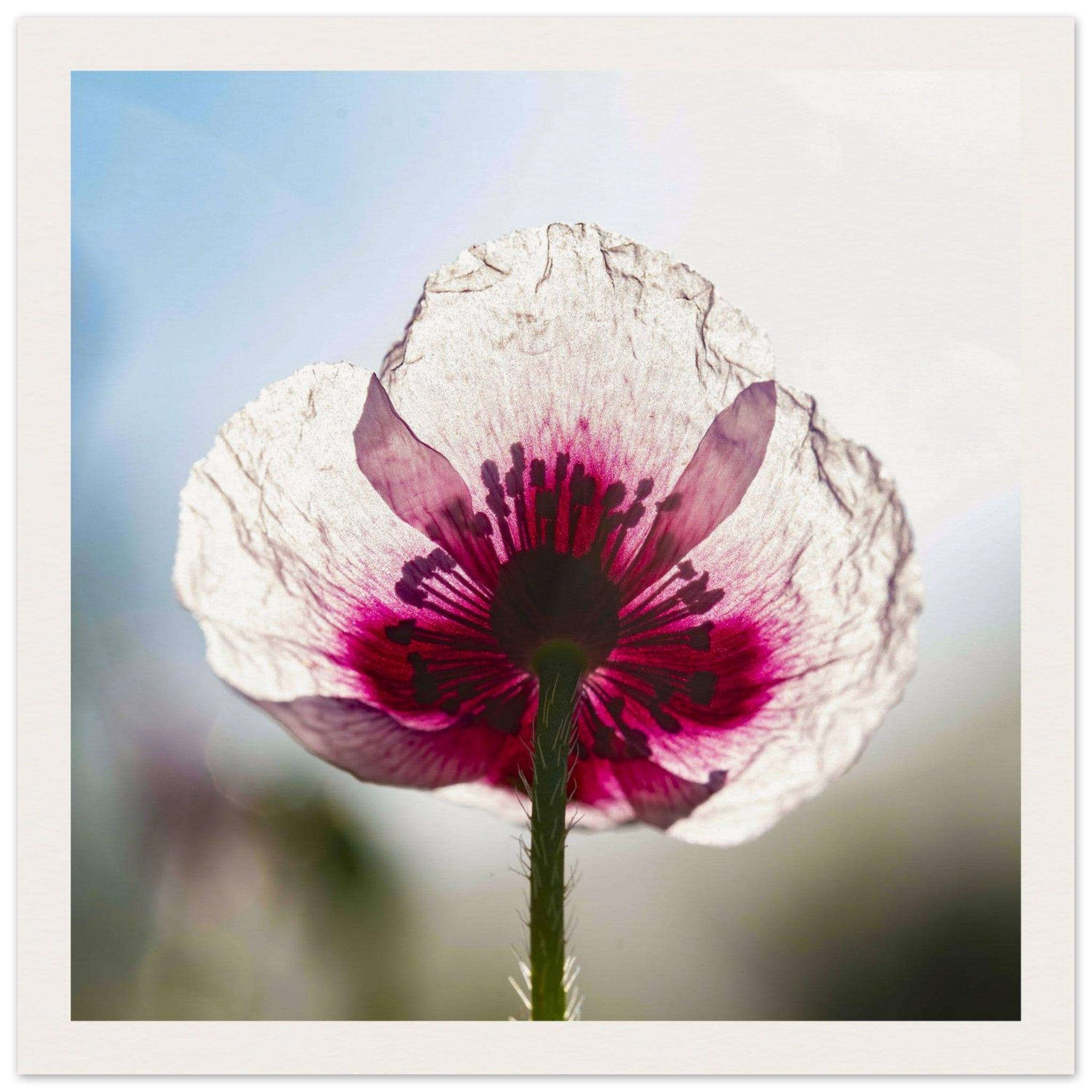 77875712-1b7e-406f-a6cb-205df3ac01eb