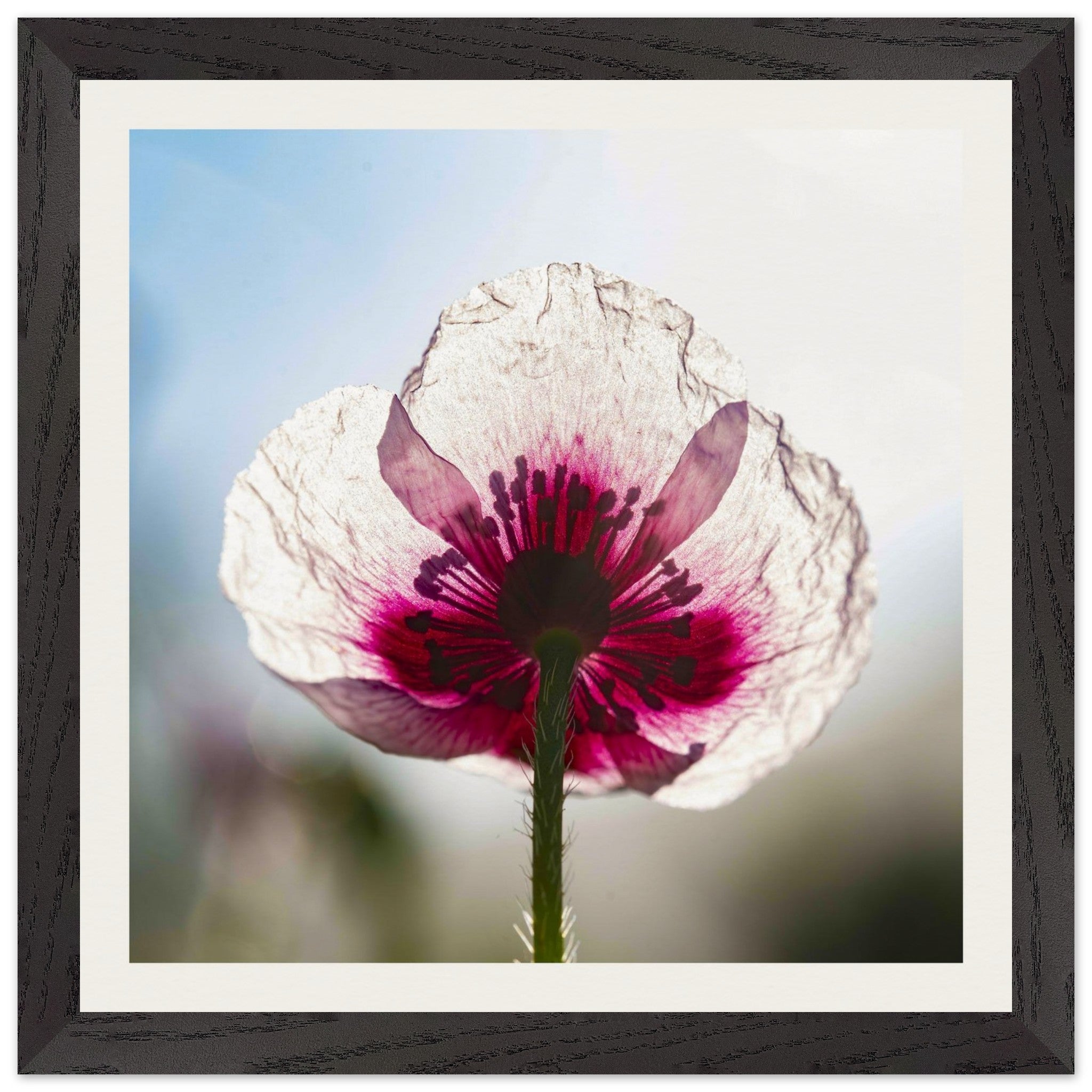 77ea715a-c75d-4b8b-a217-212f3913c9e7