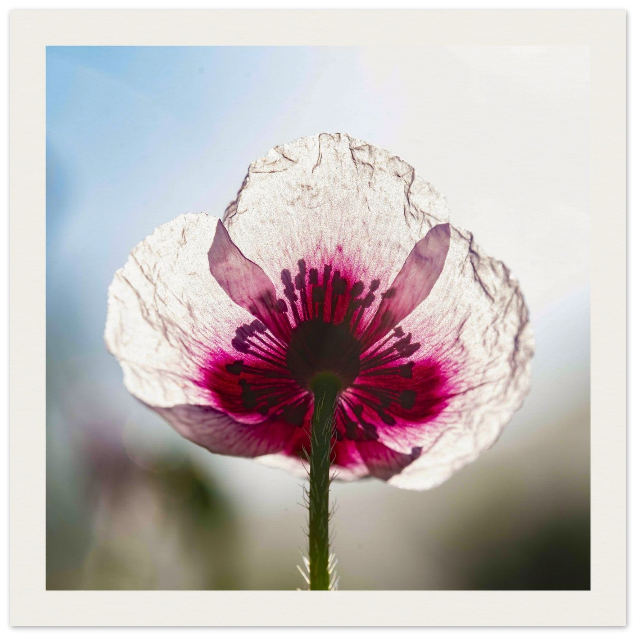 78cb498f-99d4-4ab8-9c59-c47b5925dec3