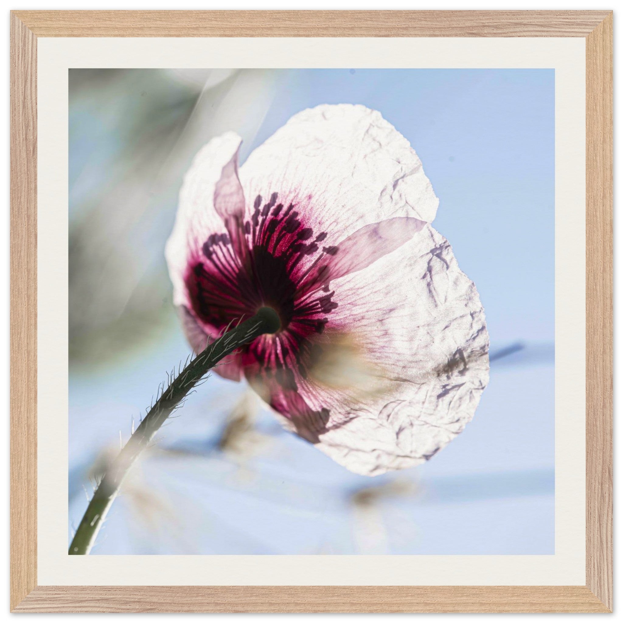 82401553-09b2-47b0-bd19-3bff2a4da373