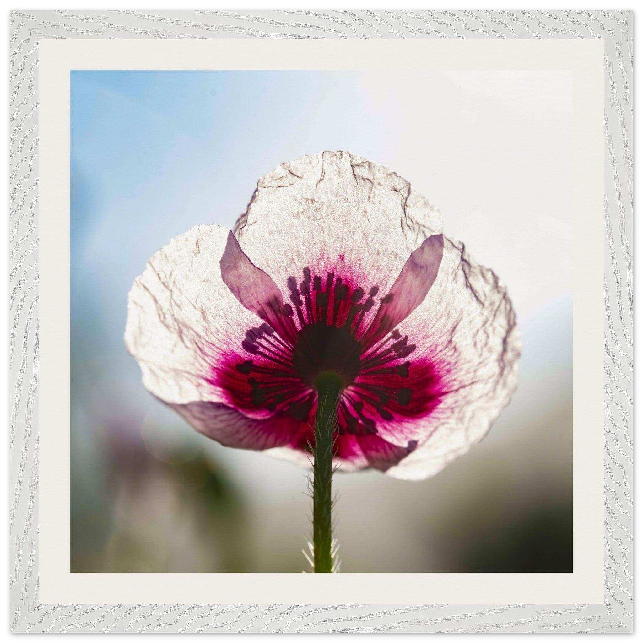 827dbc68-a173-49f5-b6be-c2a316d5948f