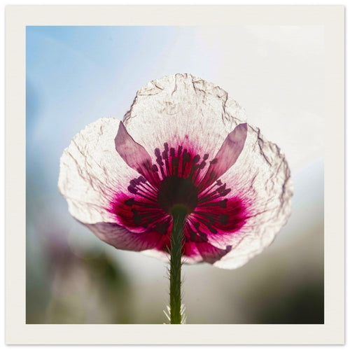 87f52194-8cde-4858-b651-0ab2bae27bad