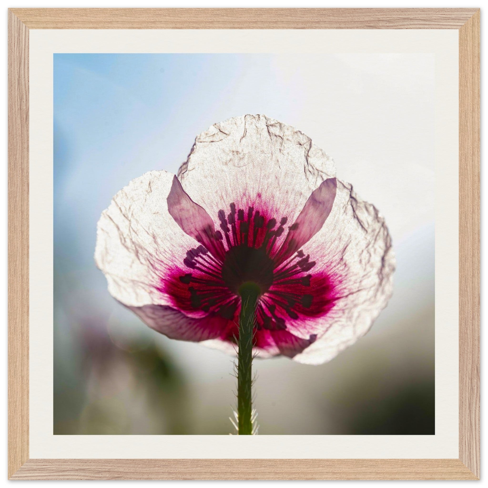 8b3078ab-30b0-4a10-a403-cfbe38ed0722