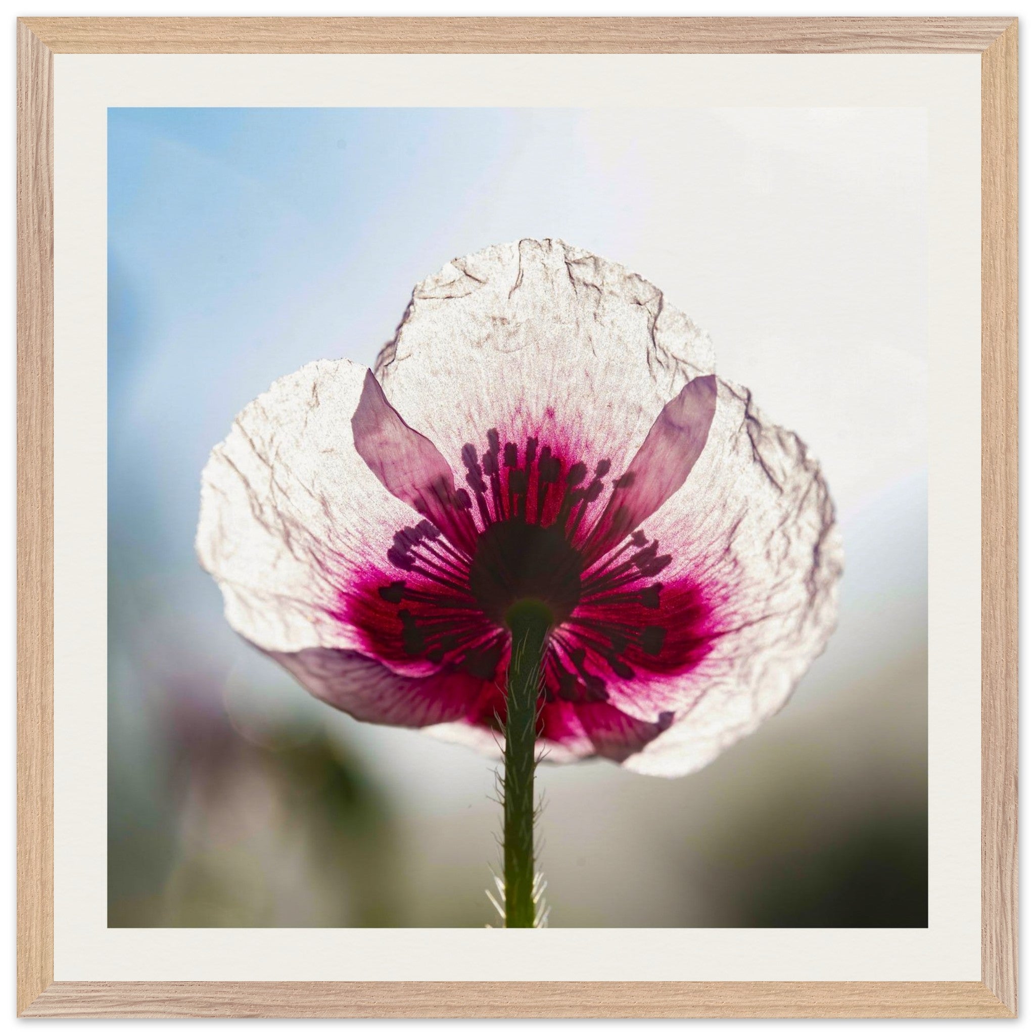 95177988-598c-4c9f-a465-eb0dc3129350