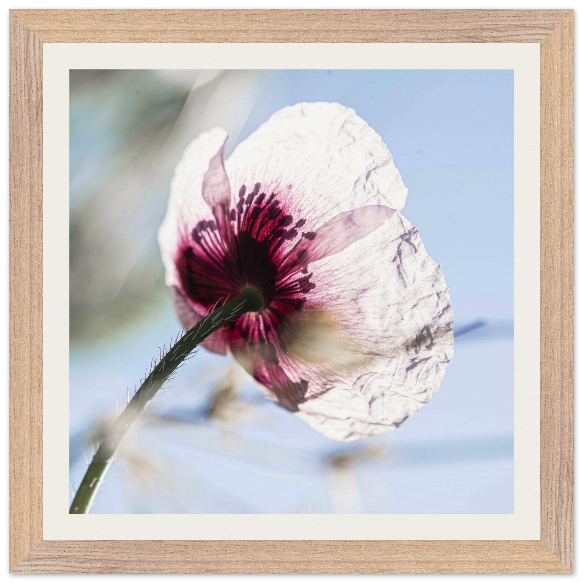 a5acd532-b6a5-4663-89ec-1e8d3f022bbc