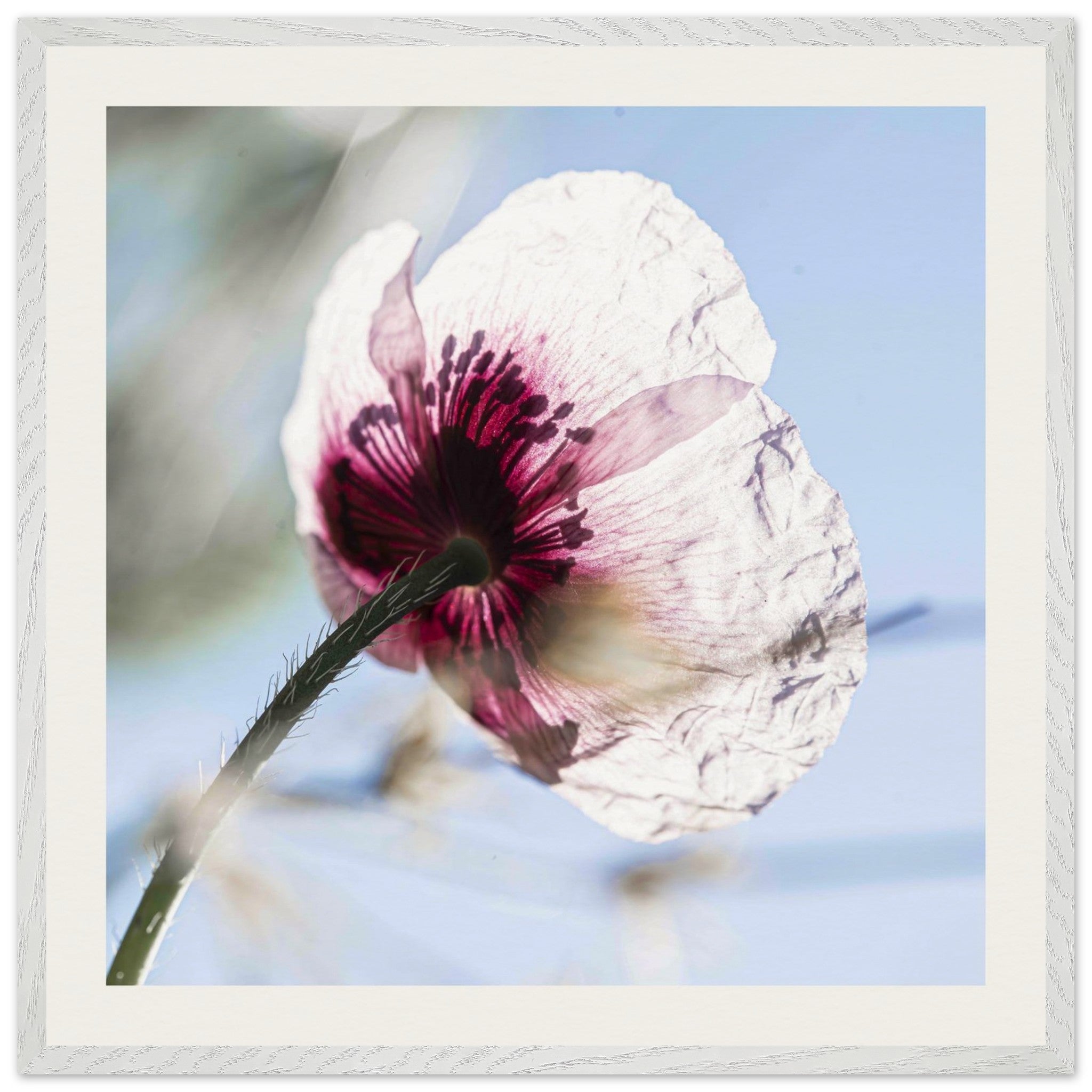 c9f19312-fcaf-4666-859a-992d4ba16988