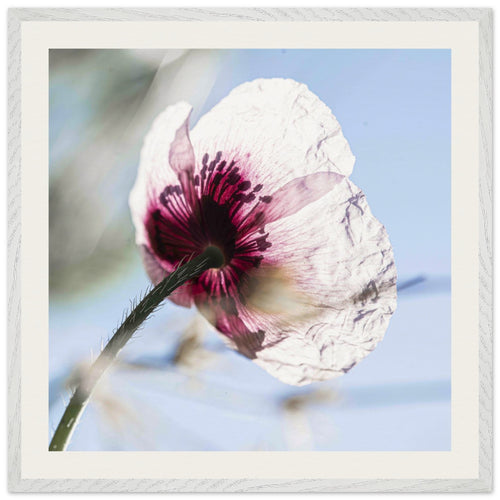 c9f19312-fcaf-4666-859a-992d4ba16988