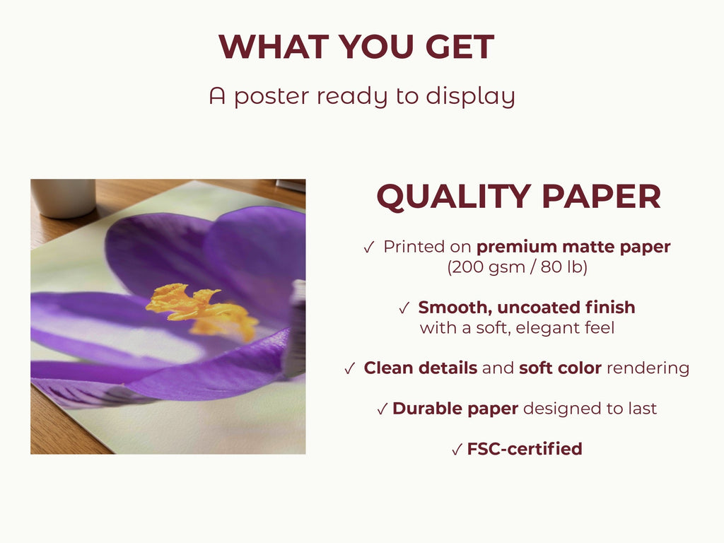 Crocu Turchinu - Fine Art Print - Franceschi