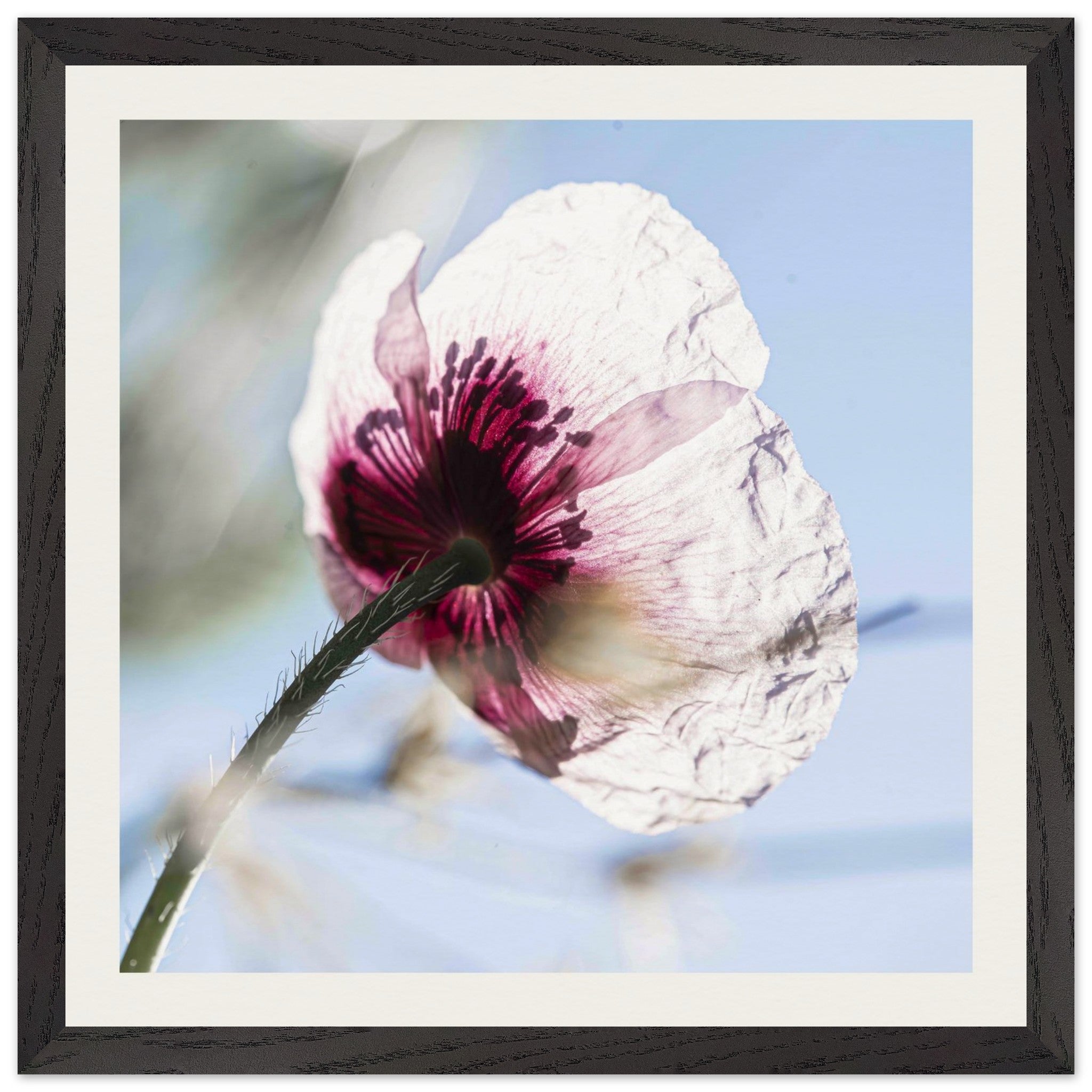 f129fd70-cc1d-4f89-b335-9c1a197c6d4e