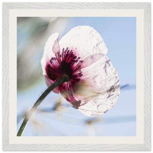 f1ed5d2e-2121-4a13-8c44-48ed493254c2