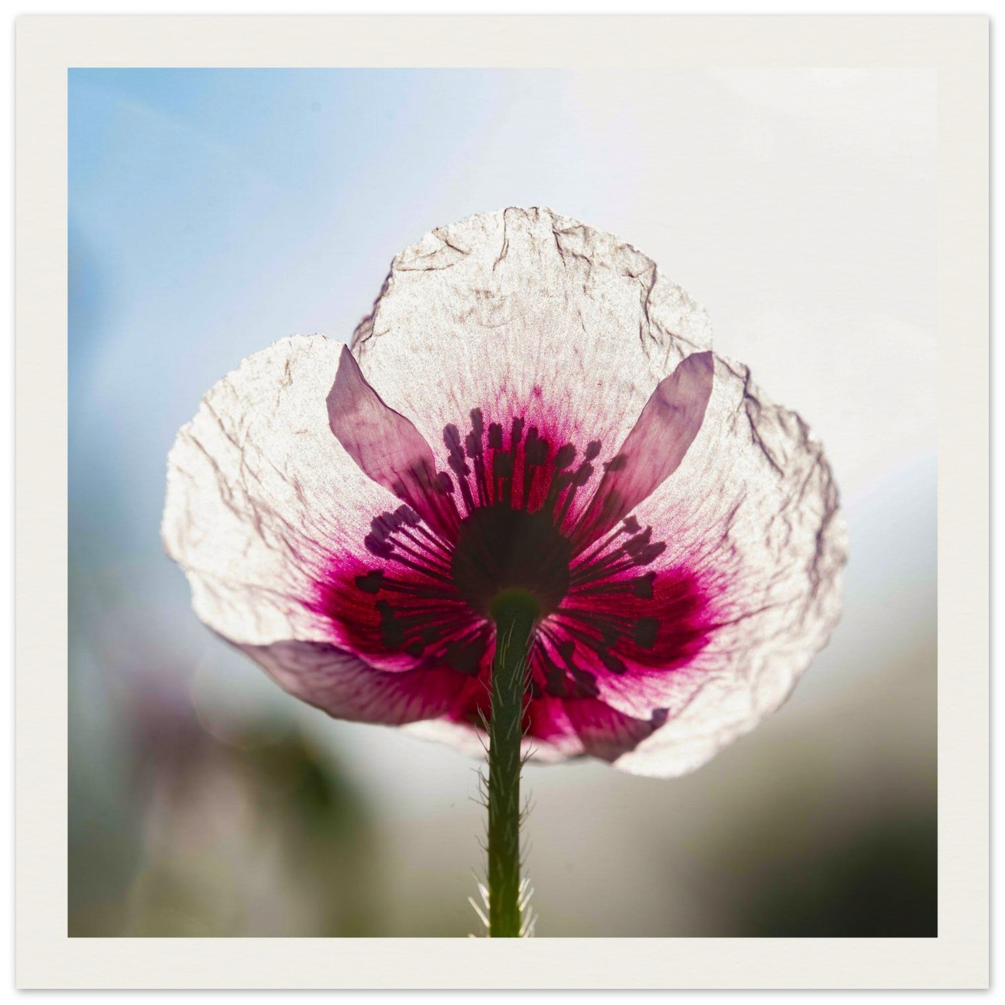 f805ad52-ee0d-4c88-b9d1-cbdf11fa846a