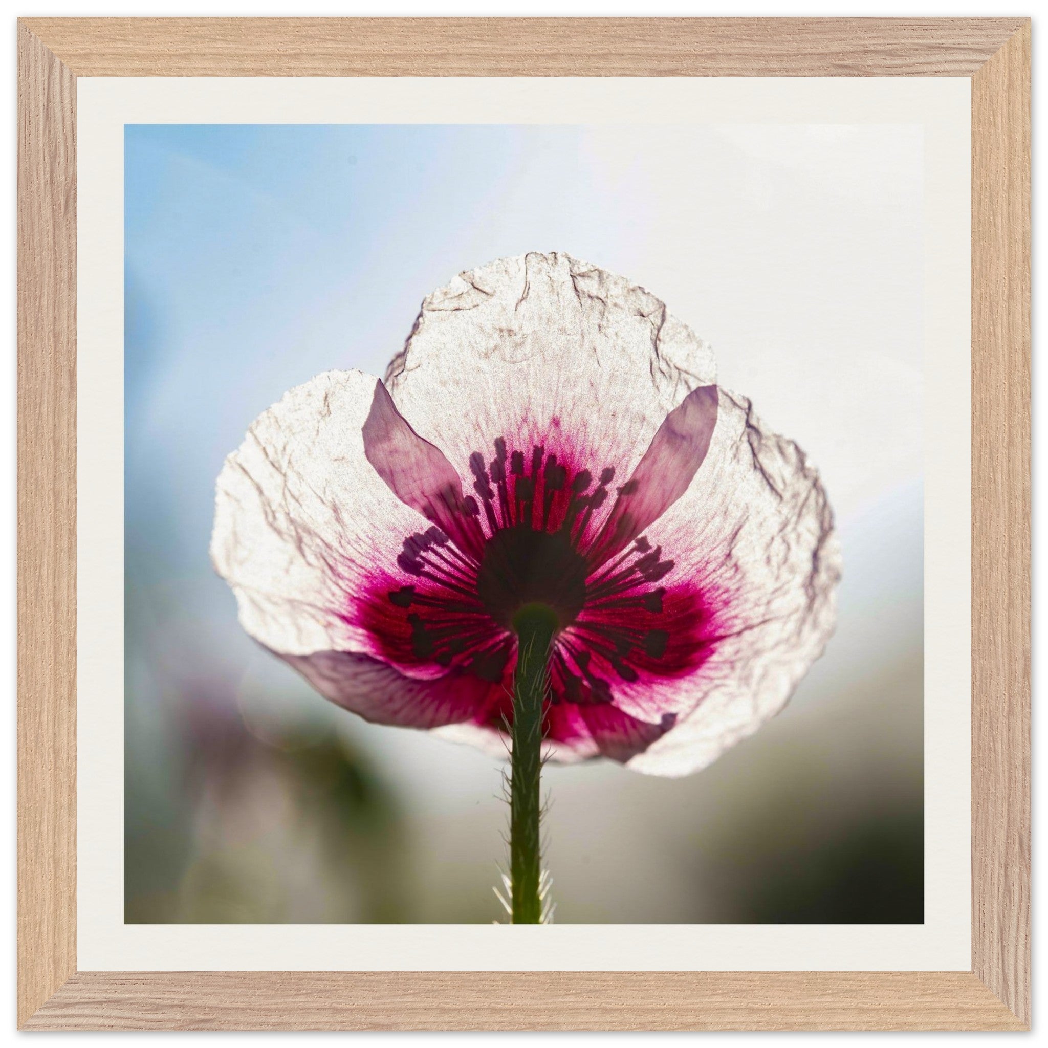 f8fccc32-881b-481f-9b99-0e1ef0167d8a