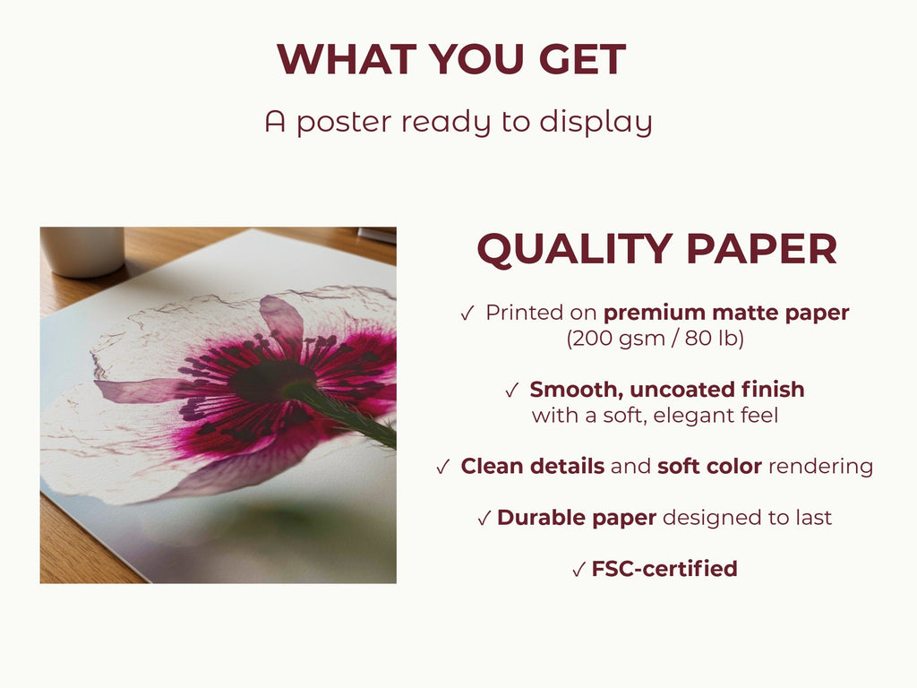 Papaveru Biancu - Fine Art Print - Franceschi