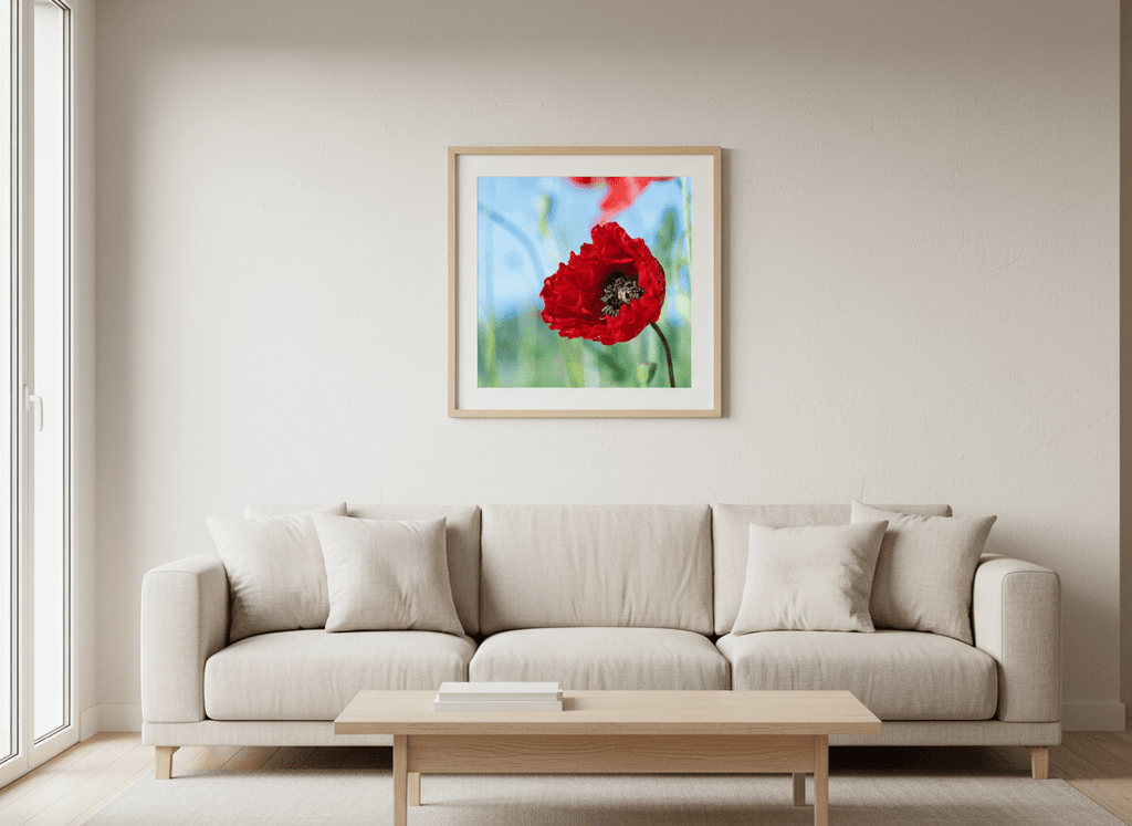 Papaveru Rossu - Fine Art Print - Franceschi