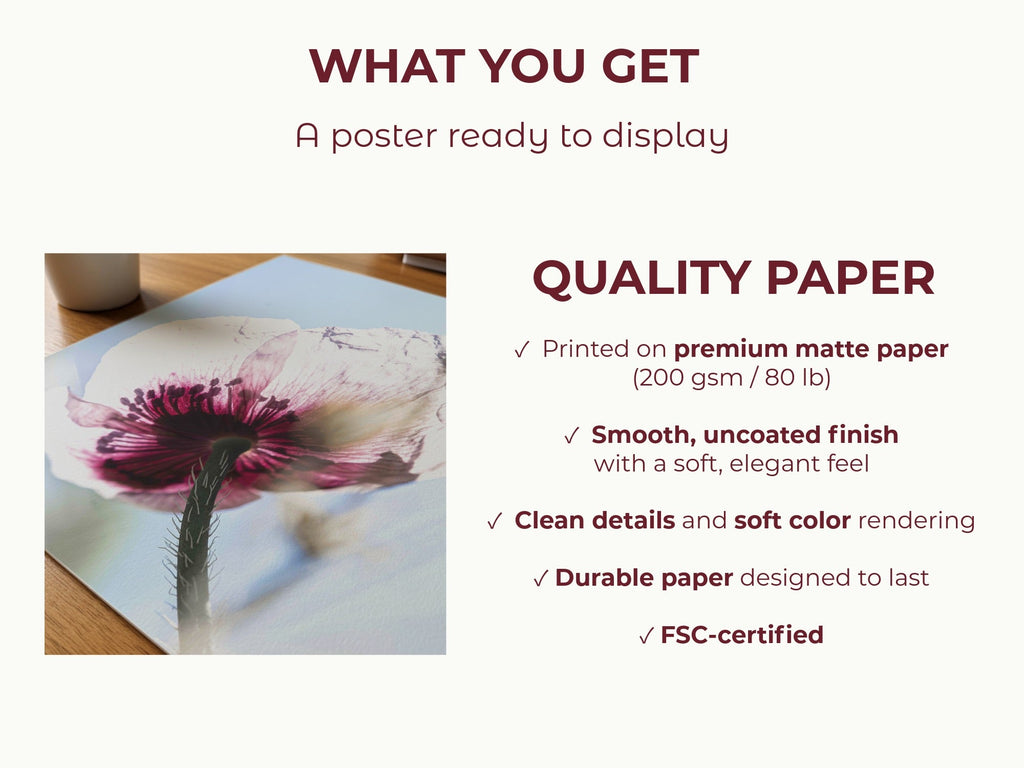 Papaveru Velatu - Fine Art Print - Franceschi