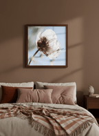 Papaveru Velatu - Fine Art Print - Franceschi