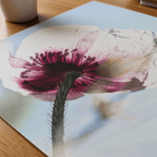 Papaveru Velatu - Fine Art Print - Franceschi