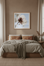 Papaveru Velatu - Fine Art Print - Franceschi