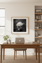 Tarassacu - Fine Art Print - Franceschi