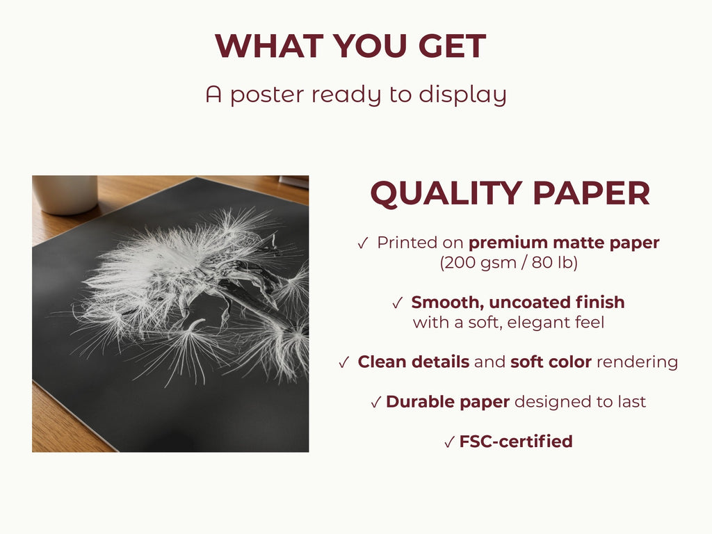 Tarassacu - Fine Art Print - Franceschi