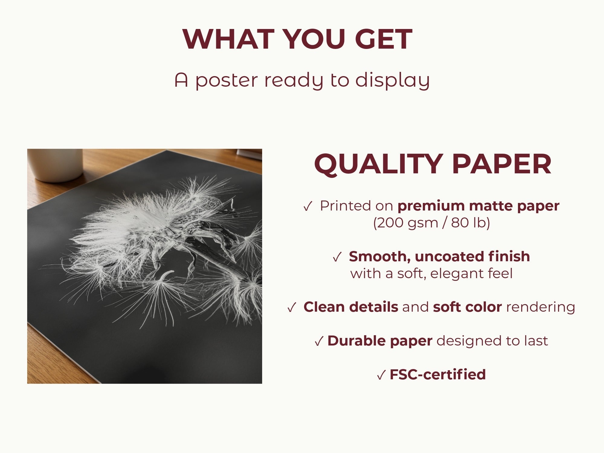 Tarassacu - Fine Art Print - Franceschi